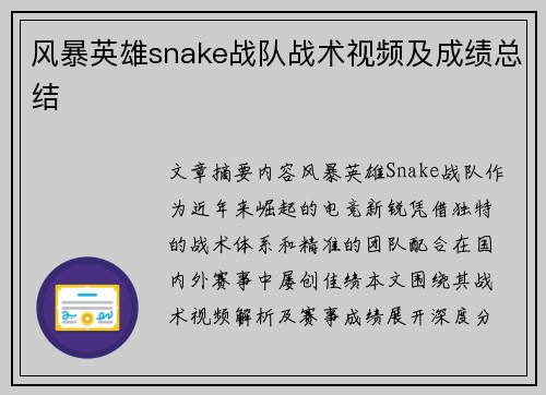 风暴英雄snake战队战术视频及成绩总结